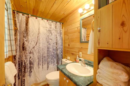 a bathroom with a toilet sink and a shower at Cataloochee Ski Day Trips! Hot Tub Haven in Marion in Marion