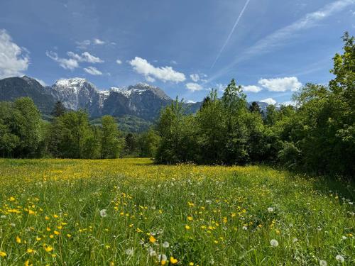 Φυσικό τοπίο κοντά σε αυτό το διαμέρισμα