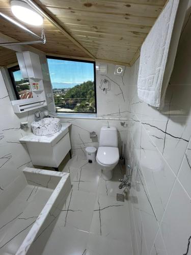 a bathroom with a toilet and a sink and a window at Tskhumi Apartment in Kutaisi