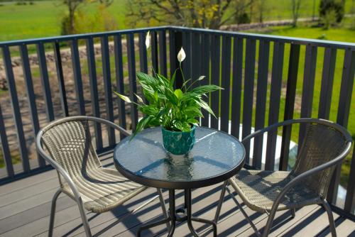 a glass table with two chairs and a plant on a balcony at Hiiumaa Sõru Puhkemaja in Sõru