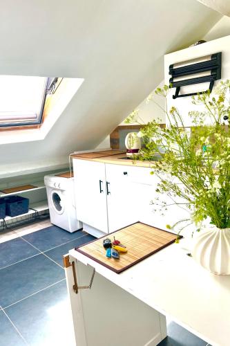 Sur les toits de Versailles