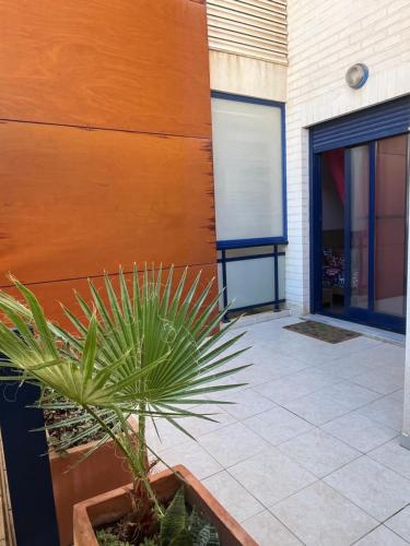 a palm plant in a pot next to a building at Apartament Sony in Denia