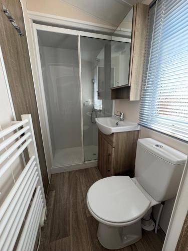 ディナールにあるMobil-home tout confortのトイレと洗面台のある小さなバスルーム