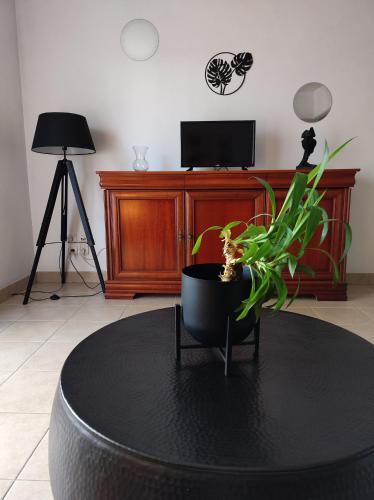 Photo de la galerie de l'établissement Appartement rez de jardin avec terrasse, à Saint-Jean-de-Braye