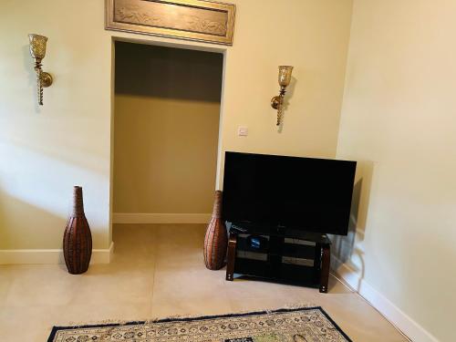 a living room with a flat screen tv and two vases at Fraser's Suites in Kingstown