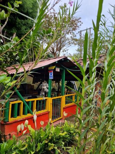 a small train car in a garden with plants at Finca la Divisa. Senderos de la Montaña in San Vicente