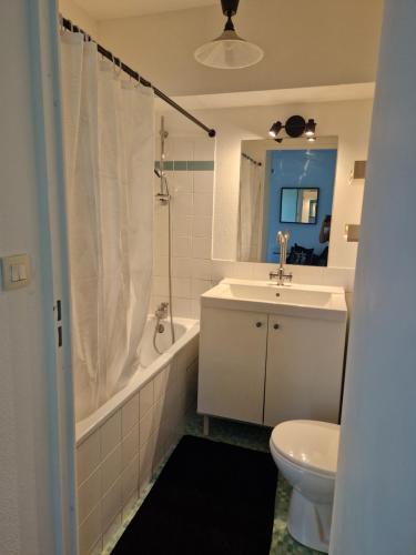une salle de bain avec un lavabo, une baignoire et des toilettes dans l'établissement Appartement avec vue sur le lez, à Montpellier