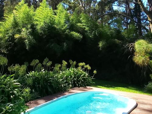 una piscina en un jardín con árboles en Casa Bendita Pacha en Mar del Plata