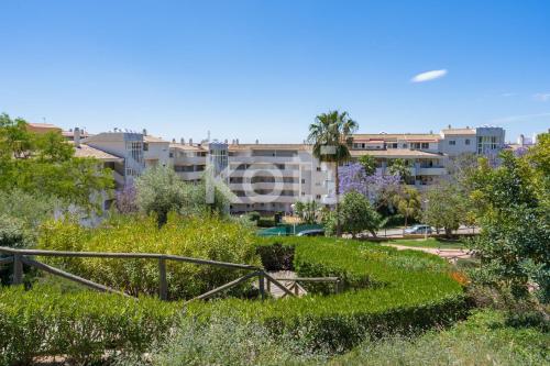Koti Rentals - Don Manuel