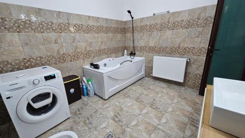 a bathroom with a washing machine and a sink at Casa de la Dunăre-Dăeni in Dăeni