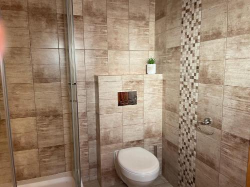 a bathroom with a toilet and a shower at Domki Alex in Dębki