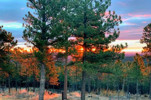 a group of trees with the sunset in the background at Ponca Lode Retreat in Keystone