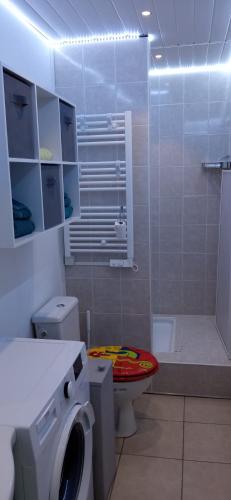 La salle de bains est pourvue de toilettes et d'un lave-linge. dans l'établissement Le Miami, à Port-la-Nouvelle