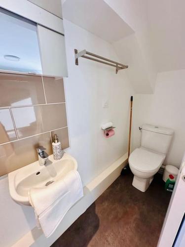 une salle de bain blanche avec des toilettes et un lavabo dans l'établissement Lakanal 10 - Appart Prébendes Tours, à Tours