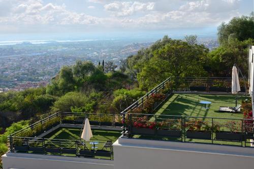 a view of a garden with umbrellas on a building at Ilo Rojo Hotel Boutique in San Miguel de Allende