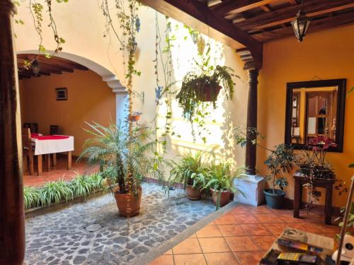 une cour avec des plantes en pot dans un bâtiment dans l'établissement Hotel Casa Sofia, à Antigua Guatemala