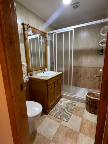 a bathroom with a toilet and a sink and a shower at Casa rural Herminia in Ourense