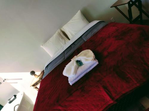 1 dormitorio con 1 cama con edredón rojo en Montanha Home en Monte Verde