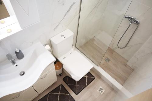 e bagno con doccia, servizi igienici e lavandino. di Aegean Front Gem Stylish Home a Samos