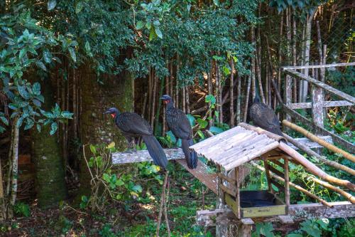 Taman di luar Refúgio na natureza Casa do Tecelão