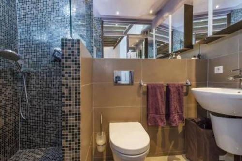 une salle de bain avec toilettes, lavabo et douche dans l'établissement Splendid atypical loft st germain, à Paris