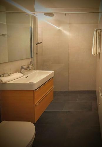 a bathroom with a toilet and a sink and a shower at Aquae Helveticae in Baden