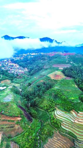 an aerial view of a field with trees and clouds at Pea homestay in Sa Pa