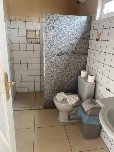 a bathroom with a toilet and a sink at Pirai Hotel Fazenda in Piraí