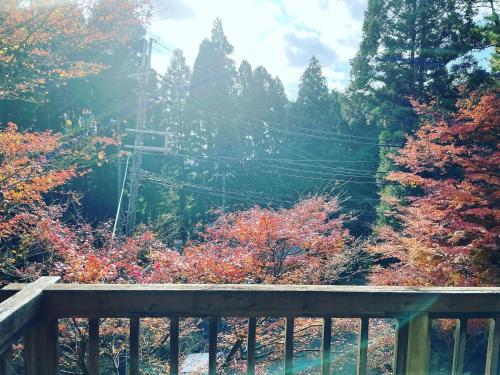 a wooden bridge in the middle of a forest at モリソンヴィラ 石垣のログハウス in Shiso