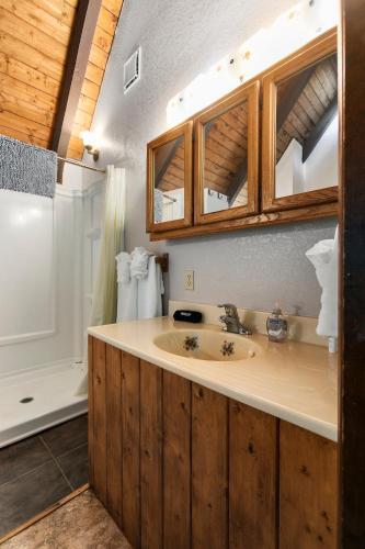 a bathroom with a sink and a shower at Robinhood Village Resort in Union