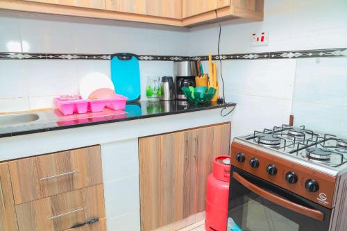 a small kitchen with a stove and a sink at Cosy 1-bedroom Hideout outside the city limits in Ruiru