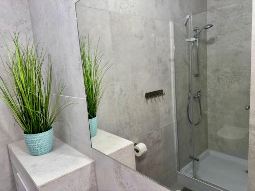 a bathroom with a shower with two potted plants at Pod Papugami - Komfortowe pokoje z widokiem na rzekę in Łeba