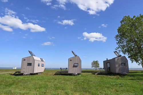 a group of three houses in a field at Tiny House Pioneer 3 - Green Tiny Spot Schillig in Wangerland