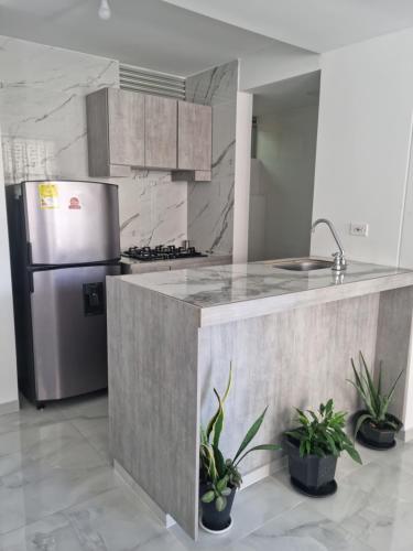 a kitchen with a stainless steel refrigerator and potted plants at Oasis Panelero Apartamento Familiar Villeta in Villeta