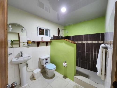 a bathroom with a white toilet and a green wall at Villa Rosa in Punta Rucia