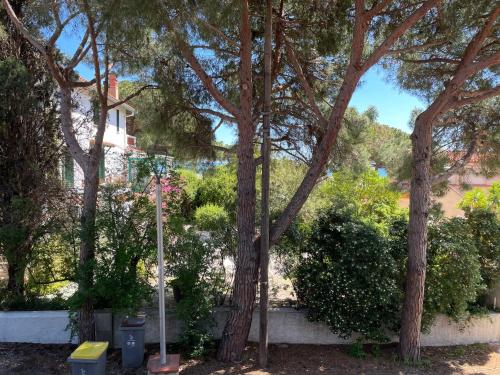 Argelès-sur-Mer : T2 rénové proche mer, clim, wifi, 4 couchages, balcon - FR-1-309-447