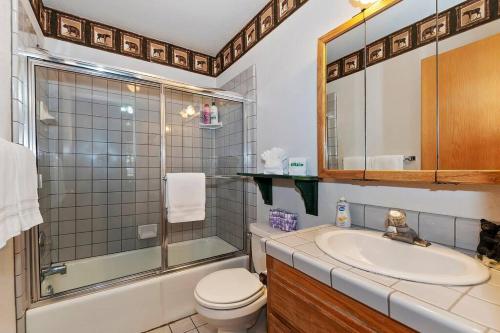 ビッグ・ベアー・レイクにあるSunrise Pines Cabin Near the Villageのトイレ、洗面台、シャワー付きのバスルーム