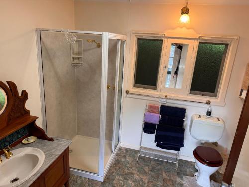 a bathroom with a shower and a toilet and a sink at Lee Manor in Walhalla