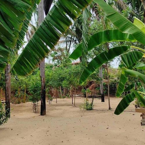 Taman di luar Pousada Praia dos Buritis