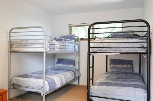 two bunk beds in a room with a window at Waterfront Primrose Retreat in Primrose Sands