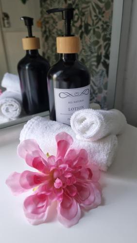 凱恩斯的住宿－JDs Tropical stays，浴室柜台上放有一瓶肥皂和一朵粉红色的花