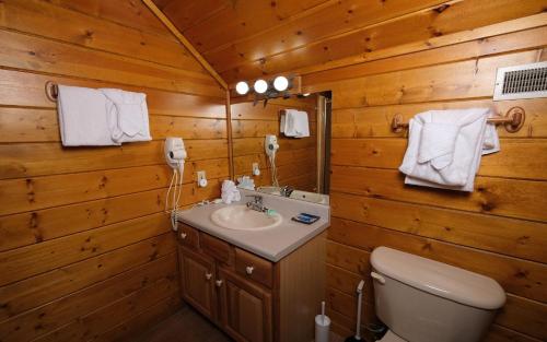 ein Badezimmer mit Waschbecken und Toilette und Holzwänden in der Unterkunft 4 Cubs Cove in Pigeon Forge
