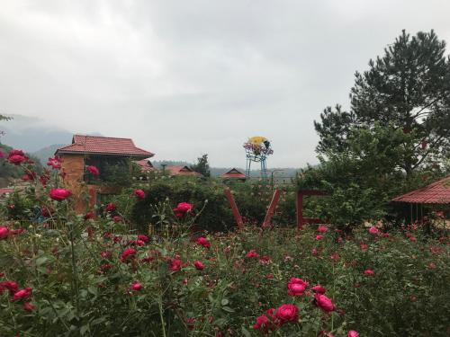 um jardim com flores cor-de-rosa e uma cerca em Sau Meo Mountain View em Sapa