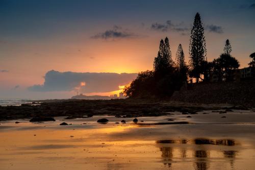 a sunset on a beach with trees in the background at Meridian Alex Beach Apartments in Alexandra Headland