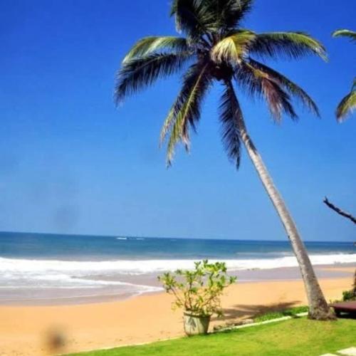 Landskap semula jadi dekat dengan hotel