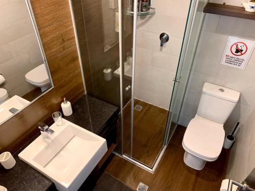 W łazience znajduje się toaleta, umywalka i prysznic. w obiekcie Ciprés Confort w mieście Santa Cruz de la Sierra
