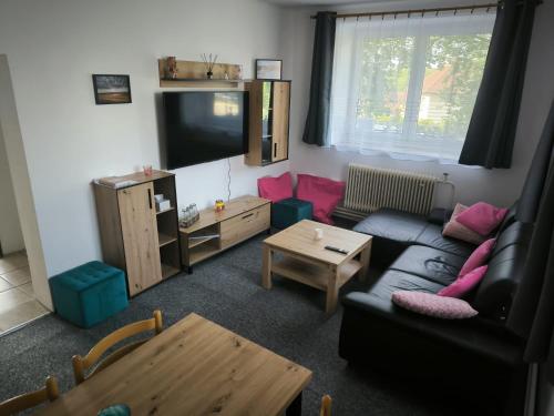 TV a/nebo společenská místnost v ubytování Apartmán u potoka