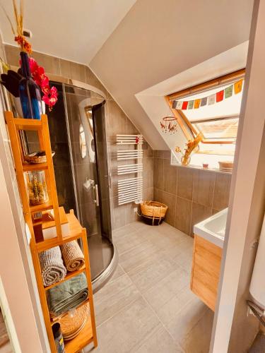 La petite salle de bains est pourvue d'une douche et d'un lavabo. dans l'établissement Chambre Indépendante Dans Une Grande Maison, au Blanc-Mesnil