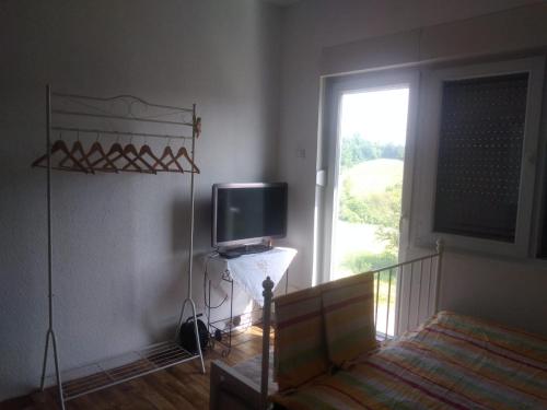 a bedroom with a bed and a tv and a window at Landhaus in Bosanska Dubica