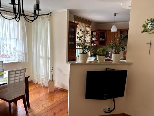 Μια τηλεόραση ή/και κέντρο ψυχαγωγίας στο Apartament Kozia